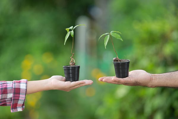 Plant Swap at James Monroe’s Highland