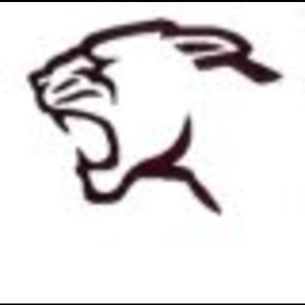 HS Baseball: Varsity Game