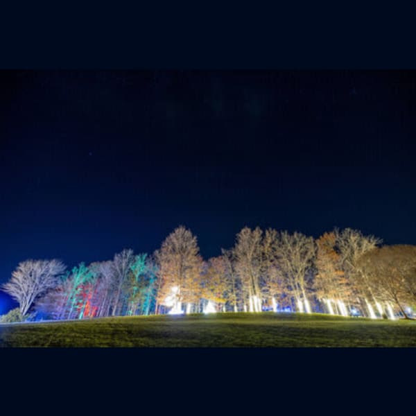 VERITAS ILLUMINATED WALKING LIGHT TRAIL