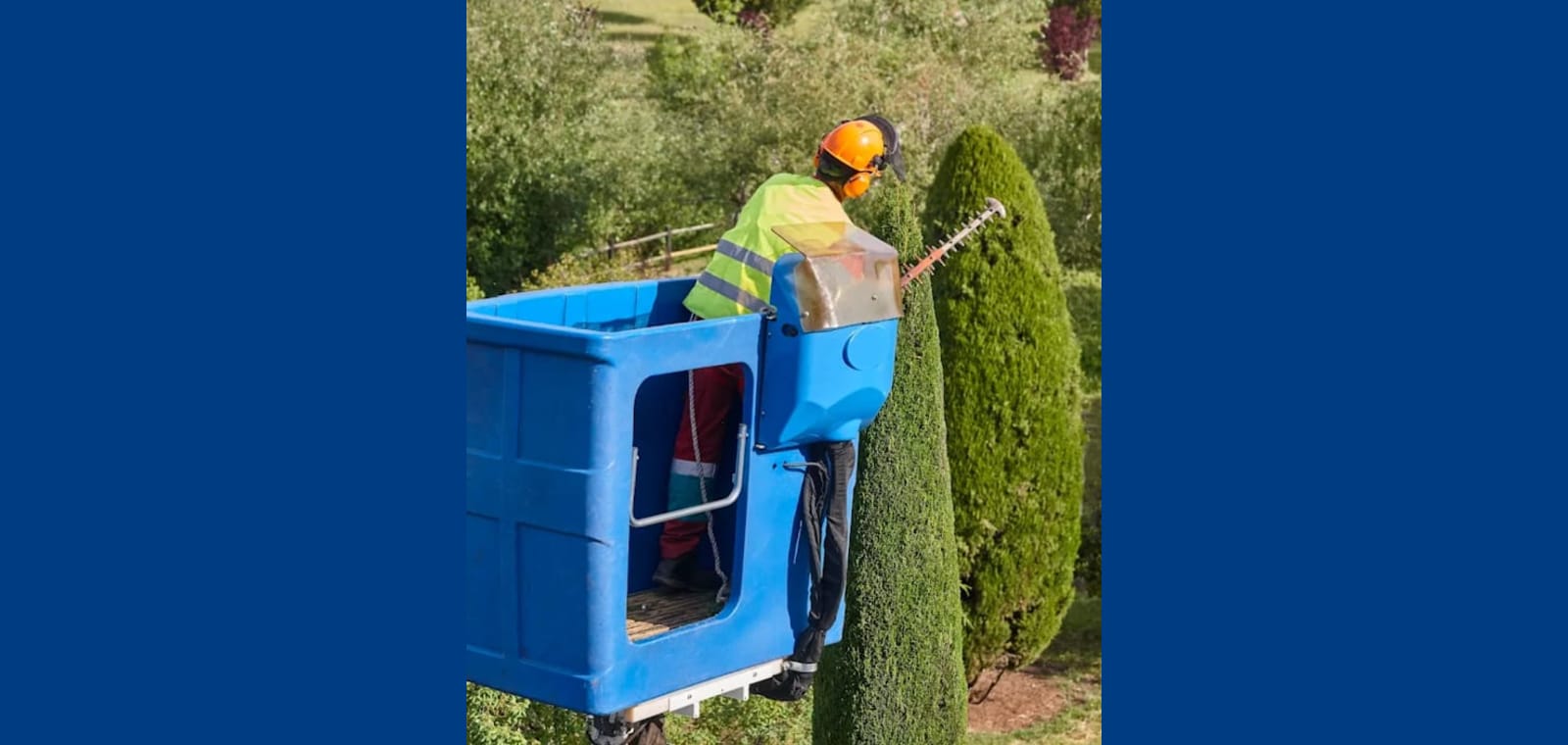 Acorn Tree Service — image 1