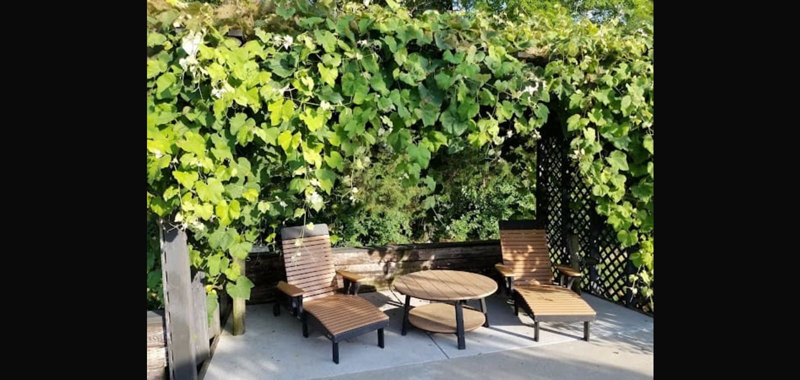 Marceline Vineyards — image 1