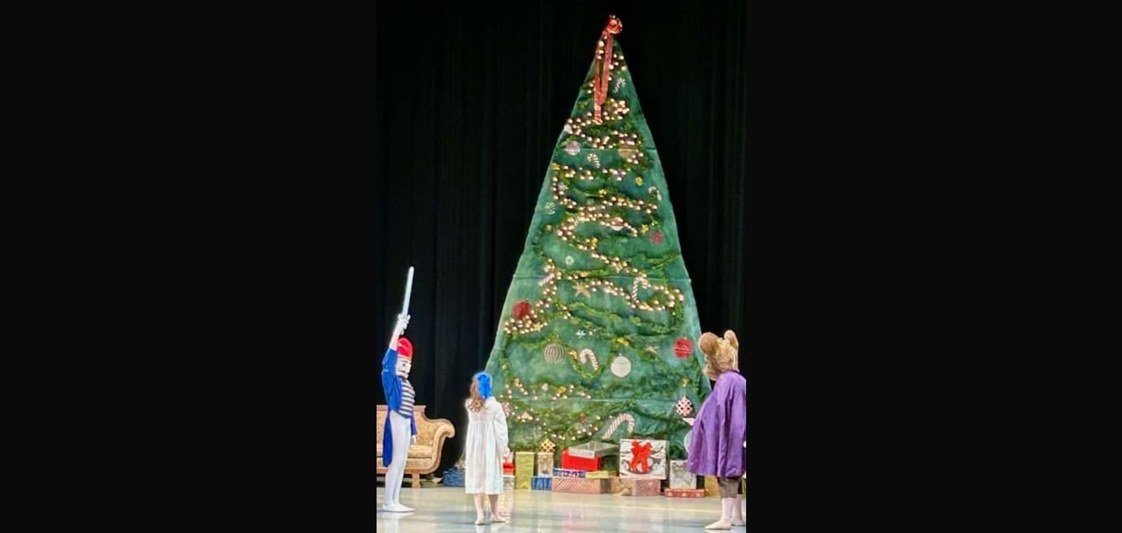 Shenandoah Academy of Dance — image 1