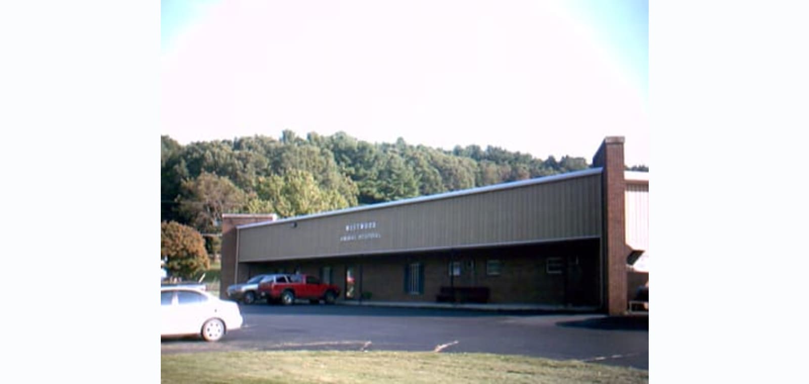 Westwood Animal Hospital — image 1