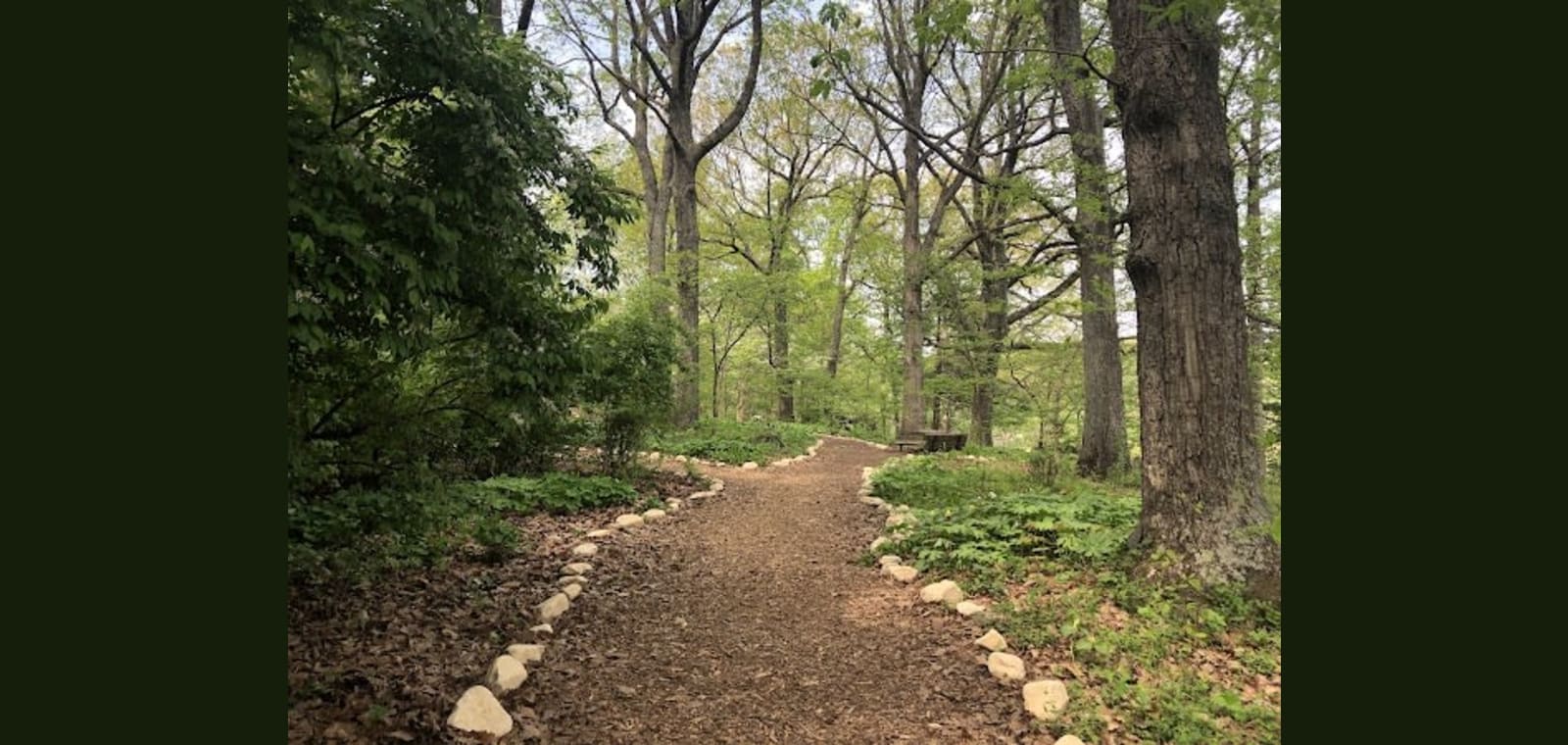 Mill Mountain Wildflower Garden — image 1