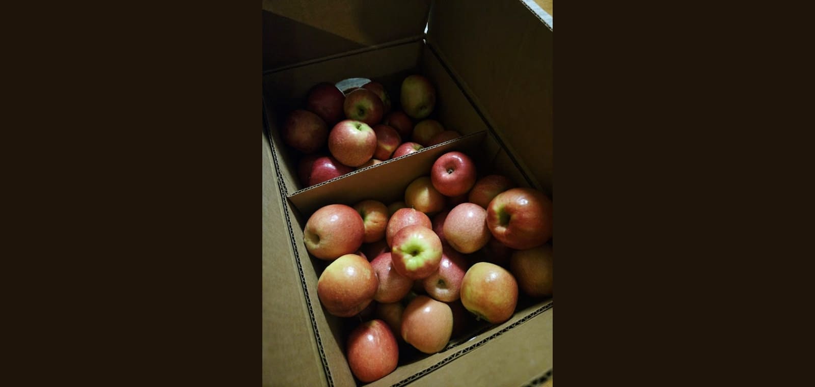 Fitzgerald's Orchards — image 1