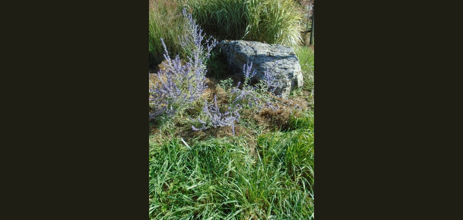 Maywood Garden Club Triangle — image 1