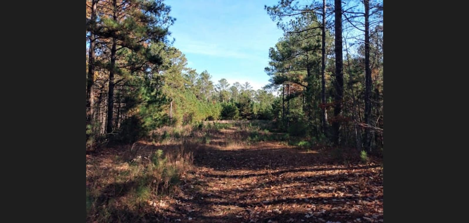 James River Wildlife Management Area — image 1