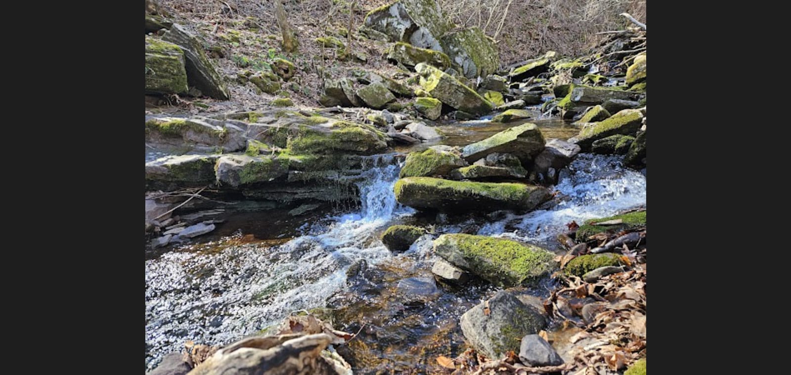 Falls Hollow Trailhead — image 1