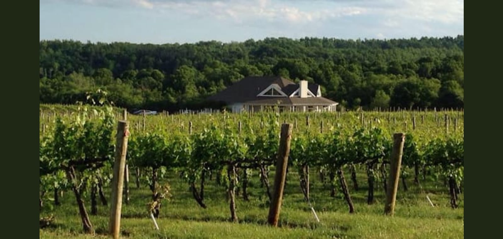 Pollak Vineyards — image 1