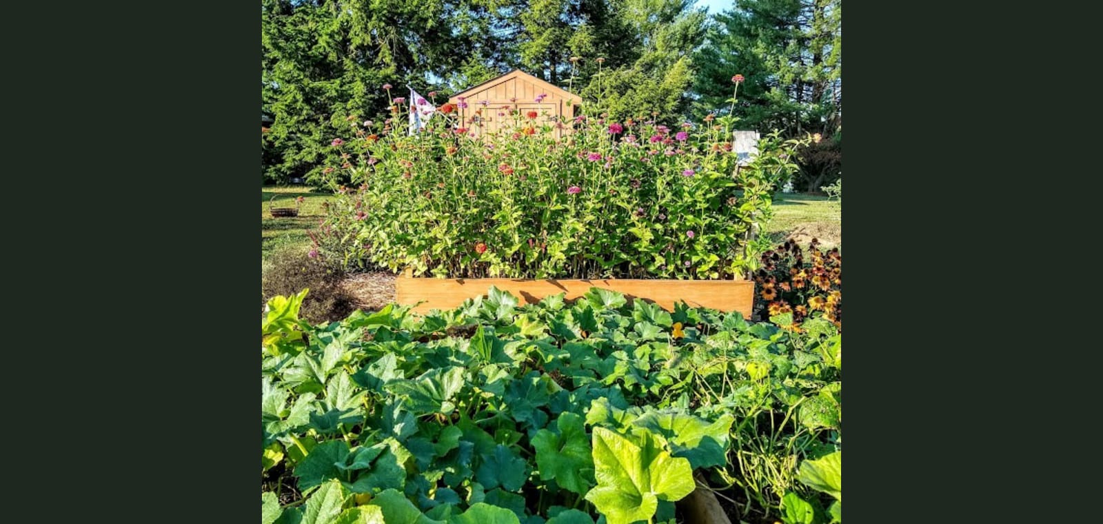 Remington Community Garden — image 1