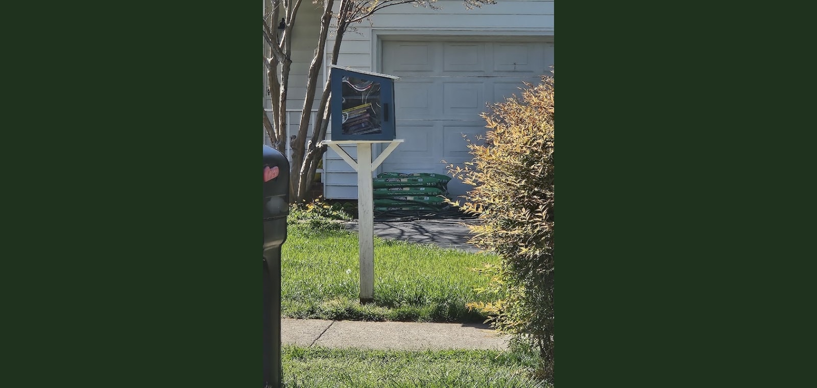 Little Free Library — image 1