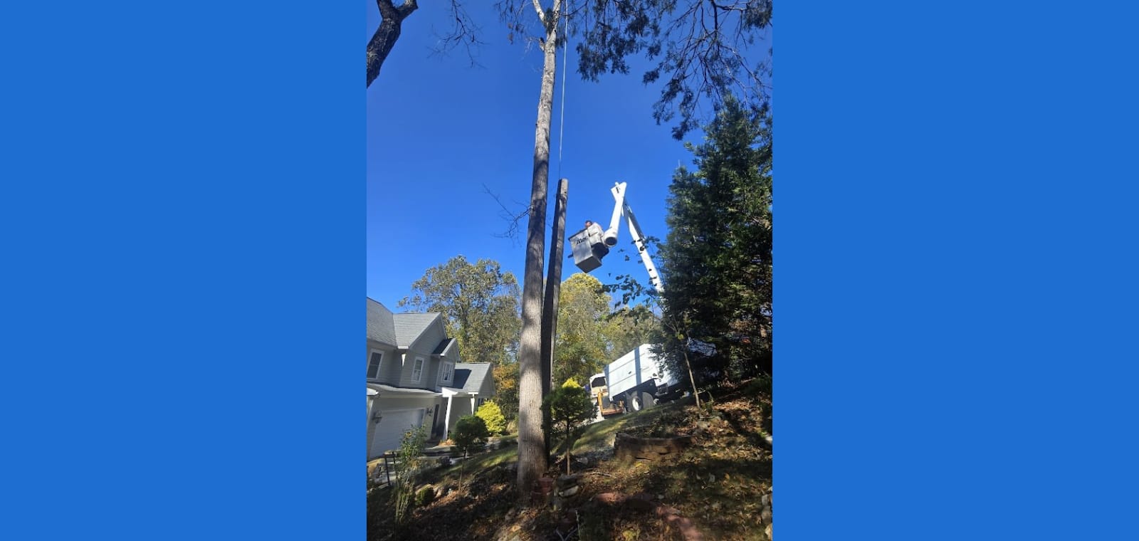 White River Tree Services — image 1