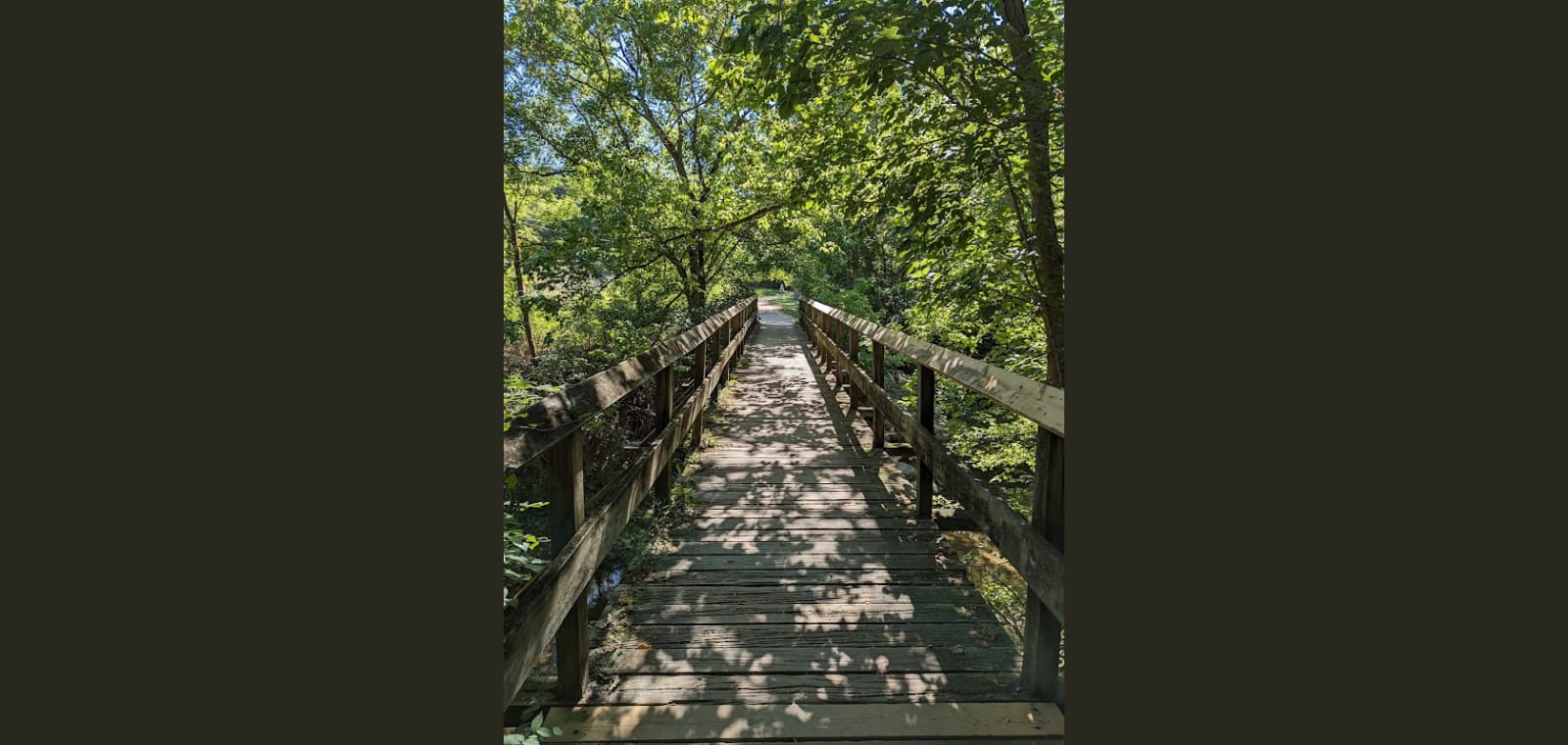 Chessie Nature Trail — image 1