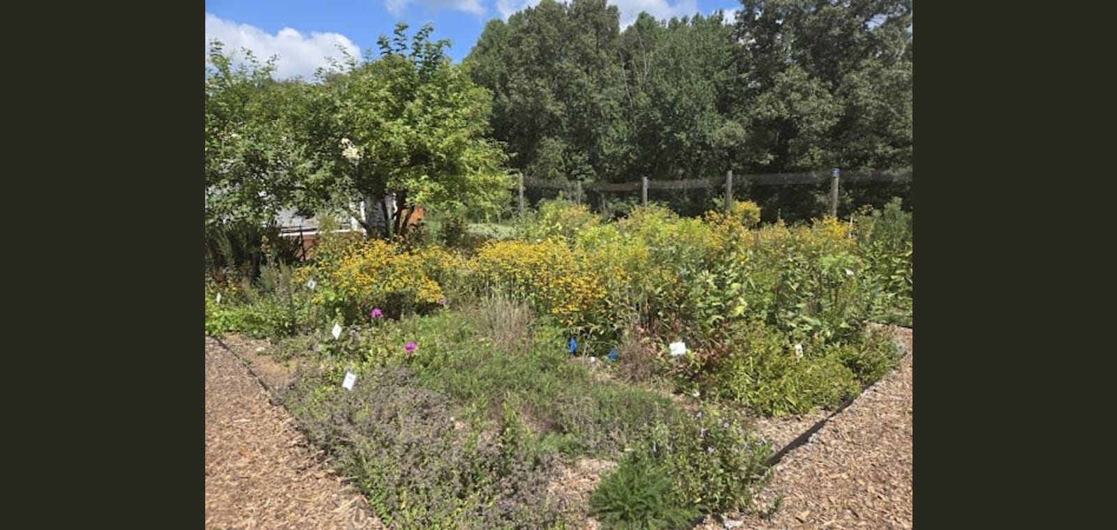 Fluvanna County Community Garden — image 1