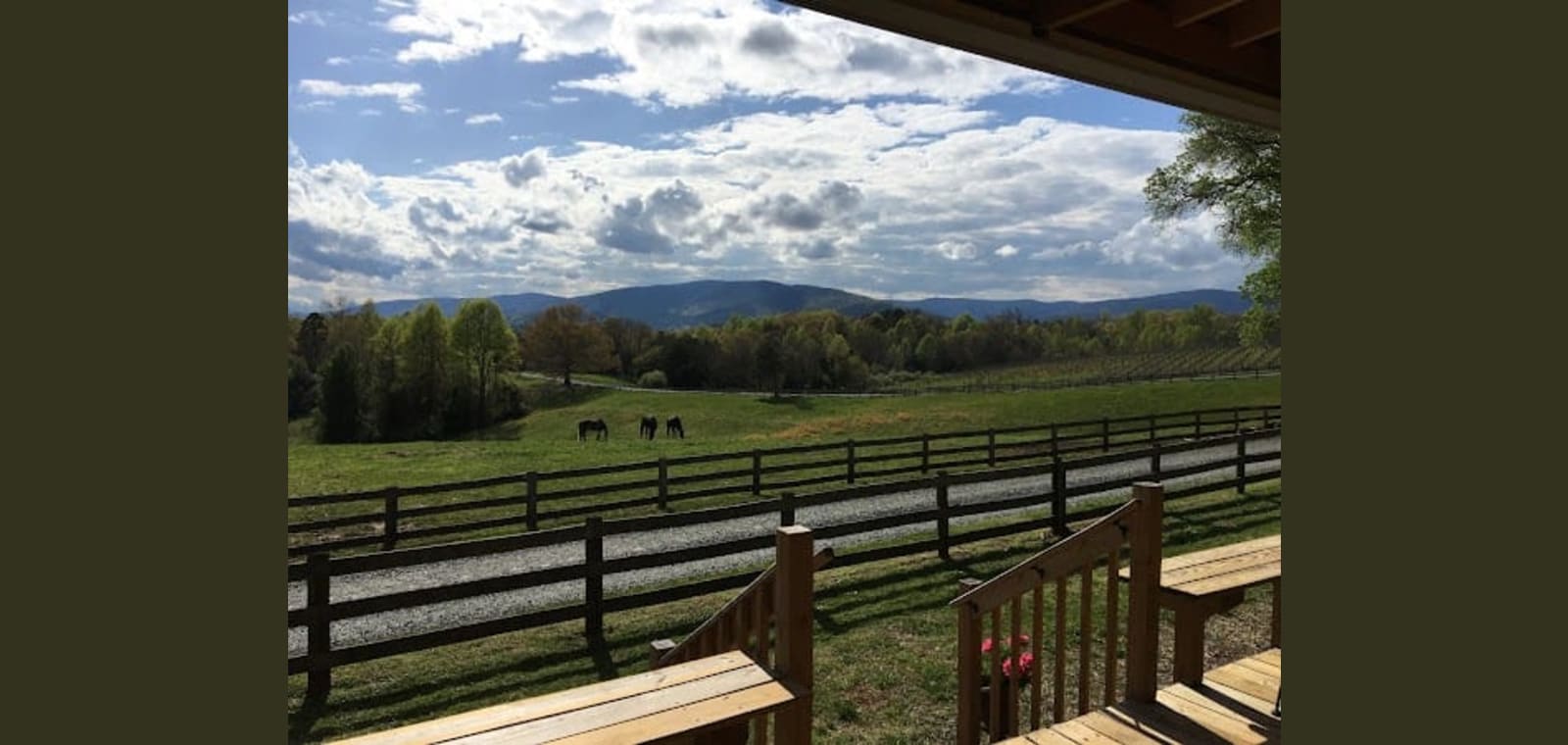 Knight's Gambit Vineyard — image 1