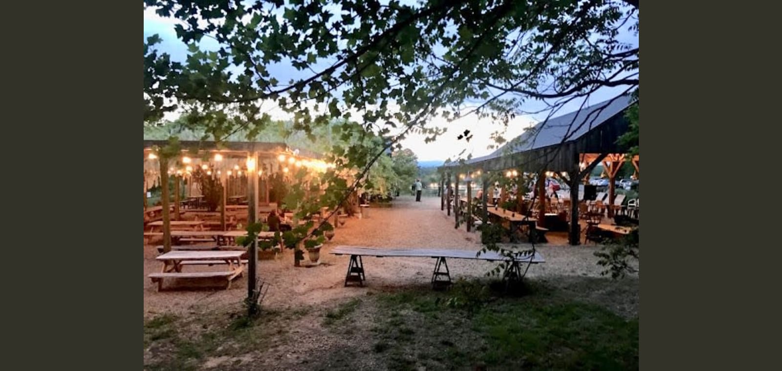 Chisholm Vineyards at Adventure Farm — image 1