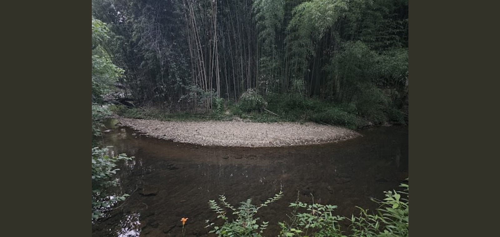 Lower Meadow Creek Valley — image 1