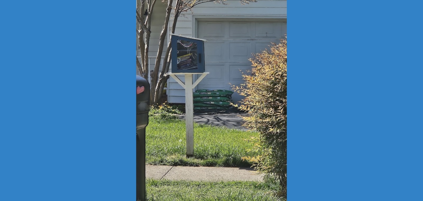 Little Free Library — image 1