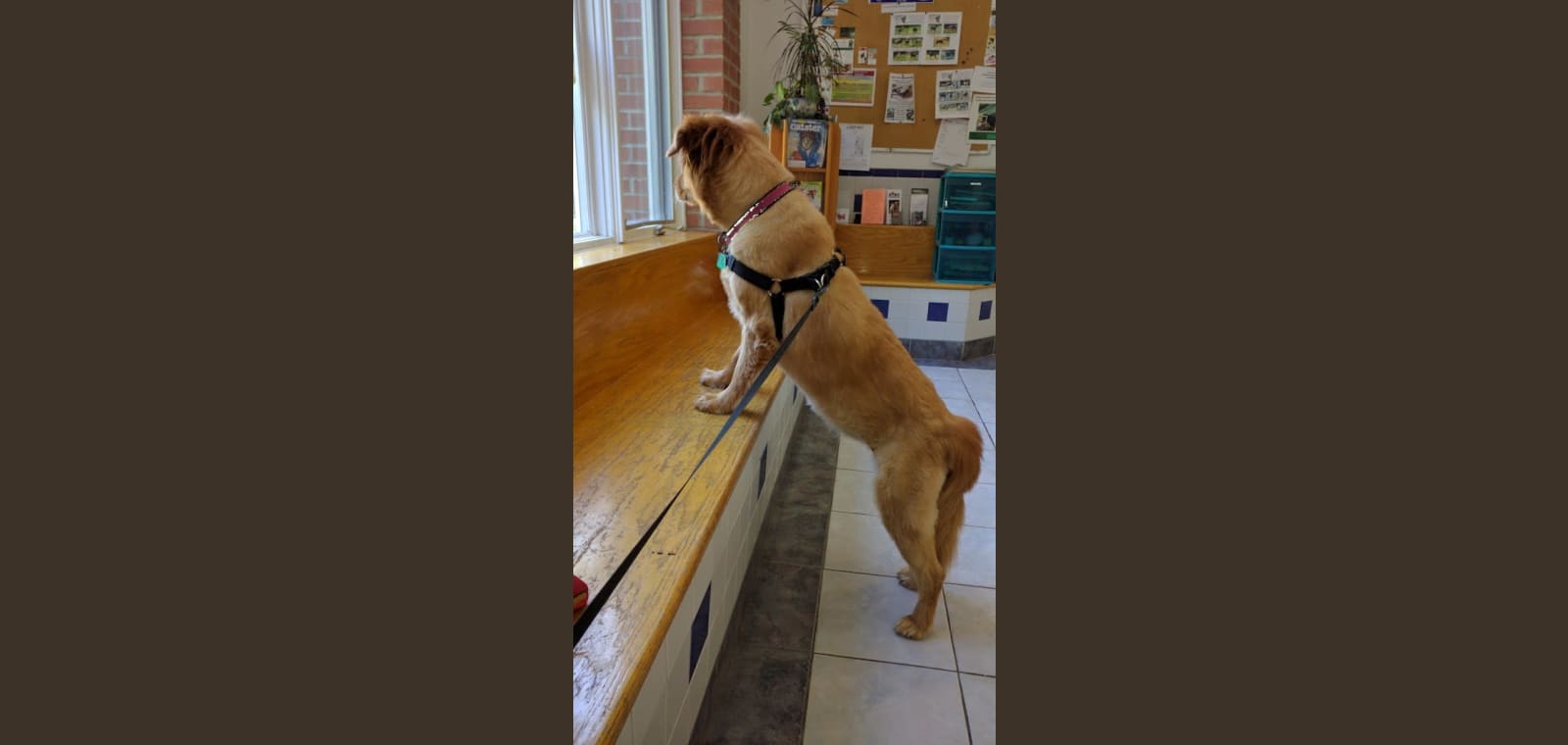 Woodworth Animal Hospital — image 1