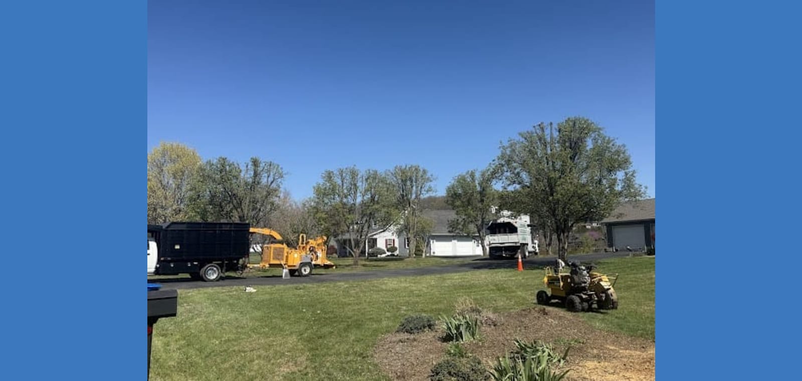 ER Tree Services LLC — image 1