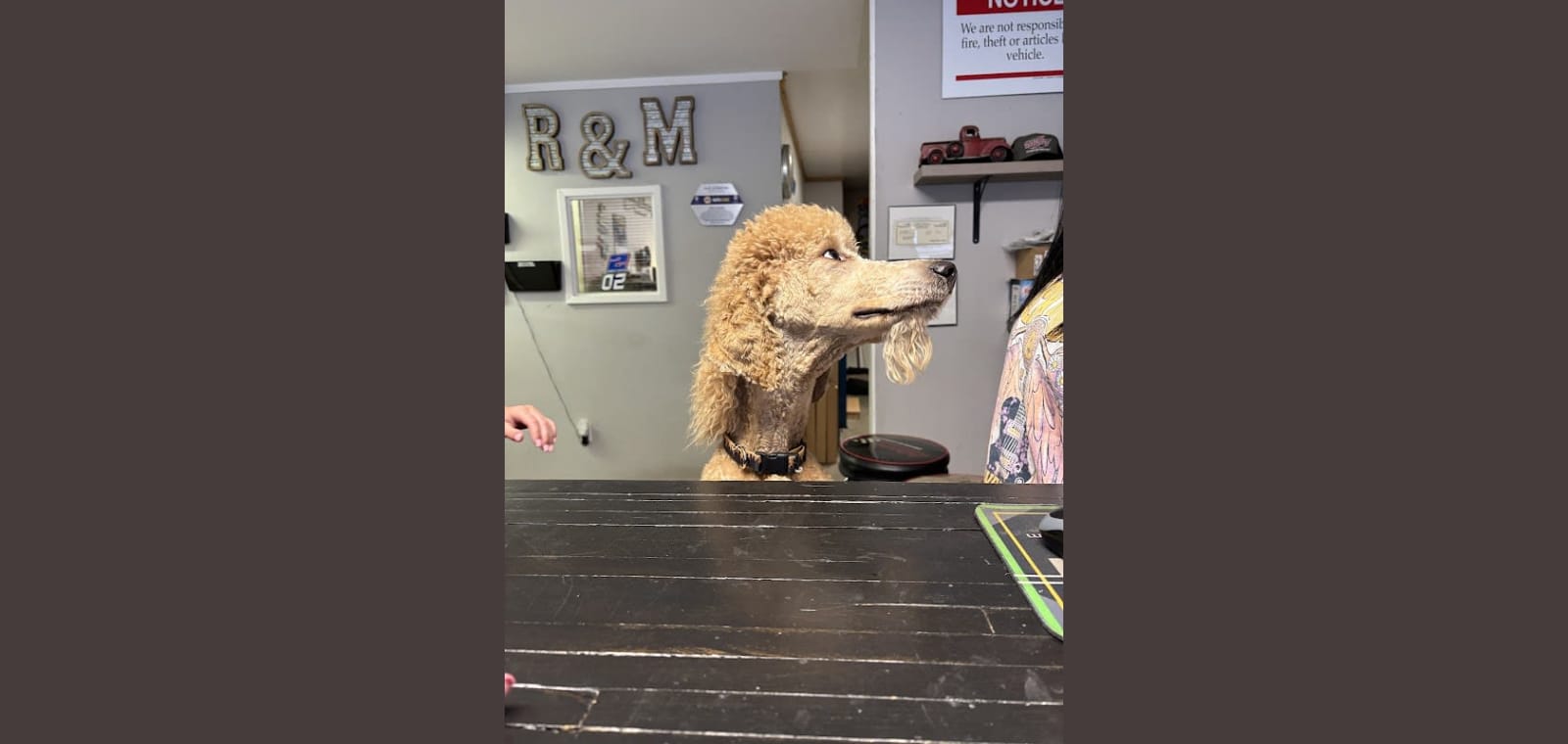 R & M Automotive — image 1