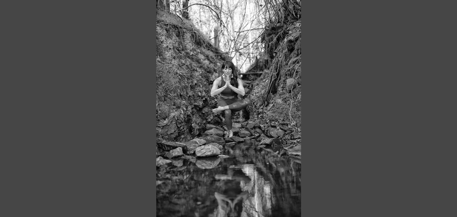 REVolution — image 1