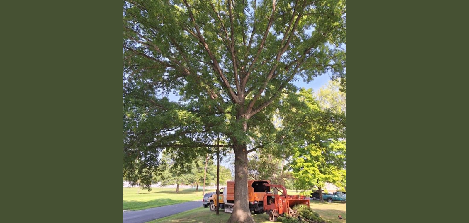 Appalachian Arbor LLC — image 1