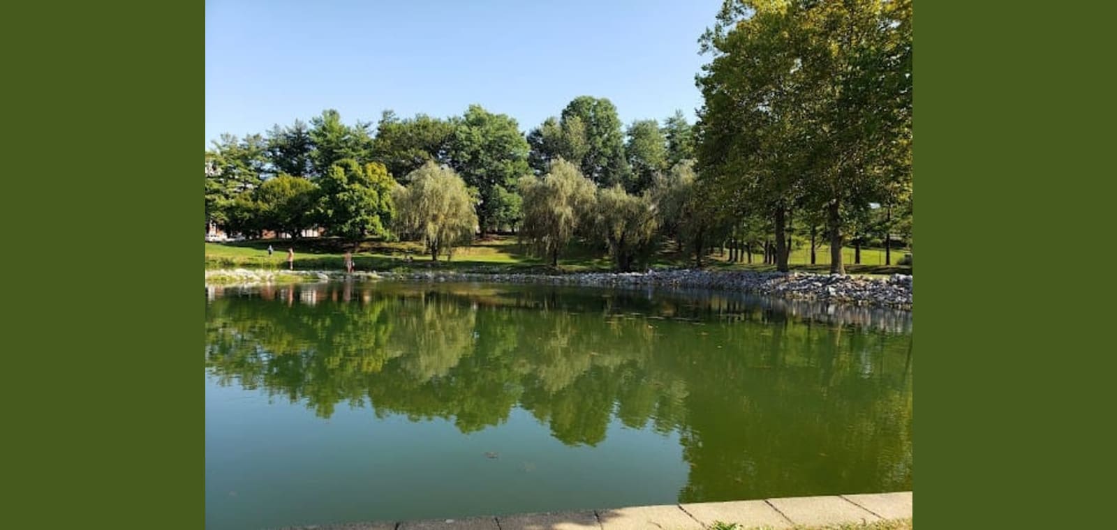 Gypsy Hill Dog Park — image 1
