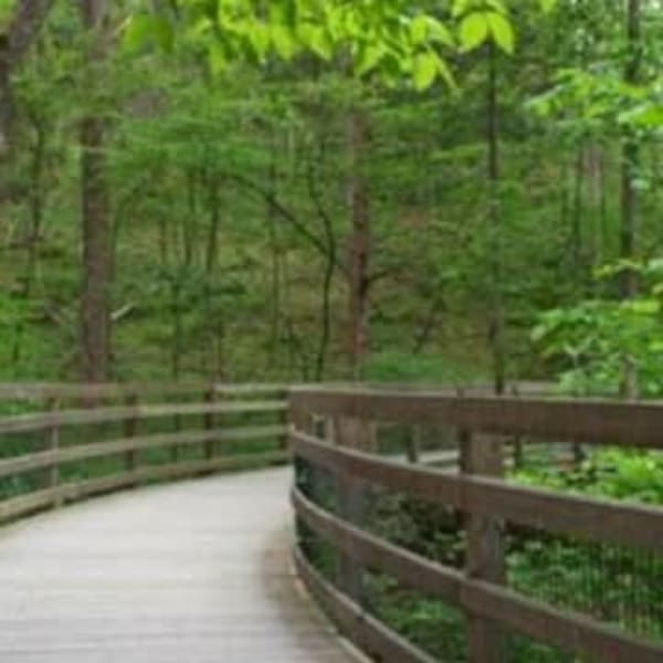 SAUNDERS-MONTICELLO TRAIL - 4.5 or 6 miles
