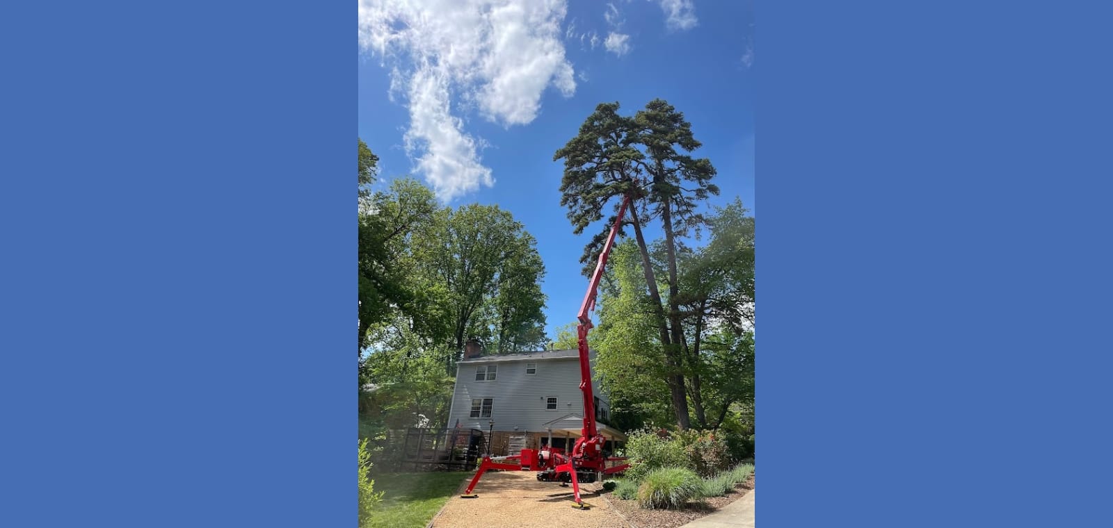 Nigel wood tree service, llc — image 1
