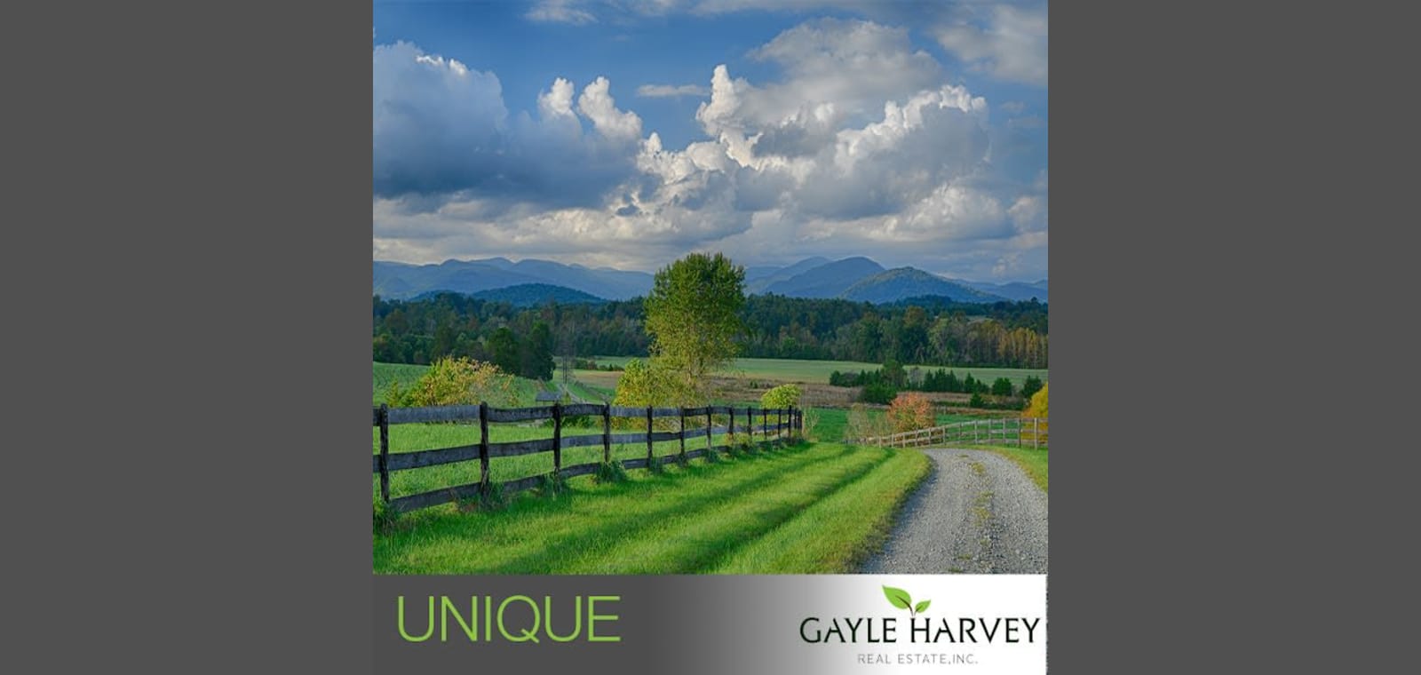 Gayle Harvey Real Estate Inc. — image 1