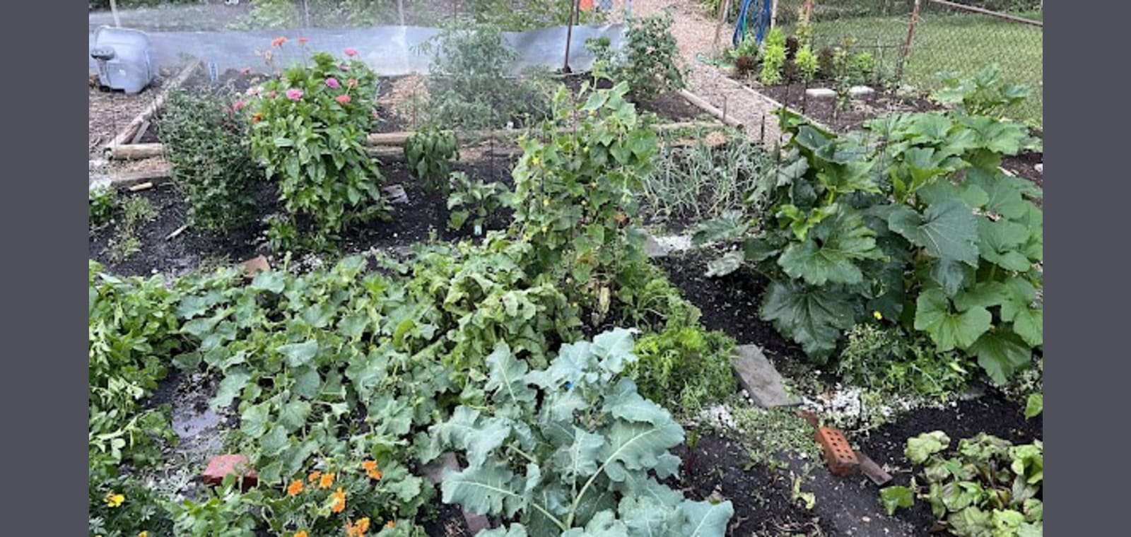 Lang Street Community Gardens — image 1