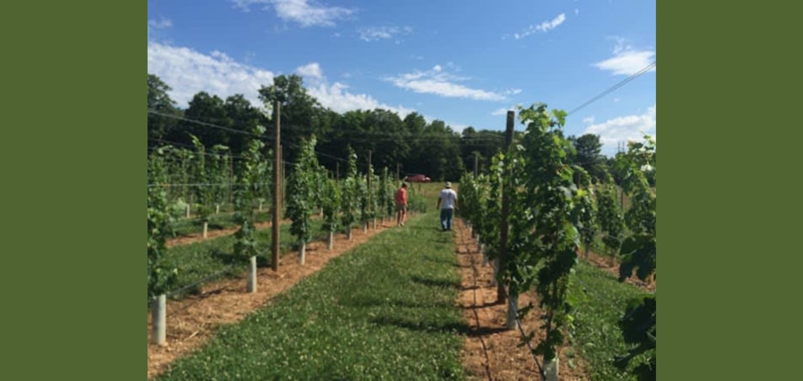 Cunningham Creek Winery & Brewery — image 1