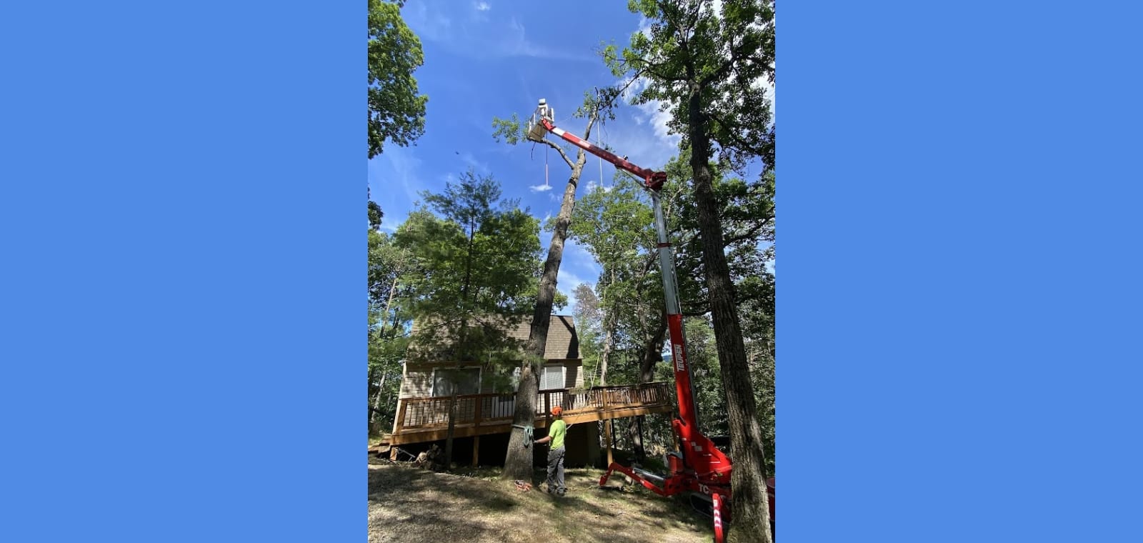 Ward’s Tree Service Inc. — image 1