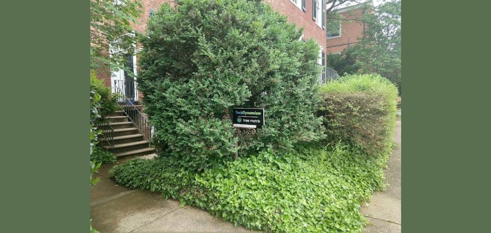 Tree Matrix — image 1