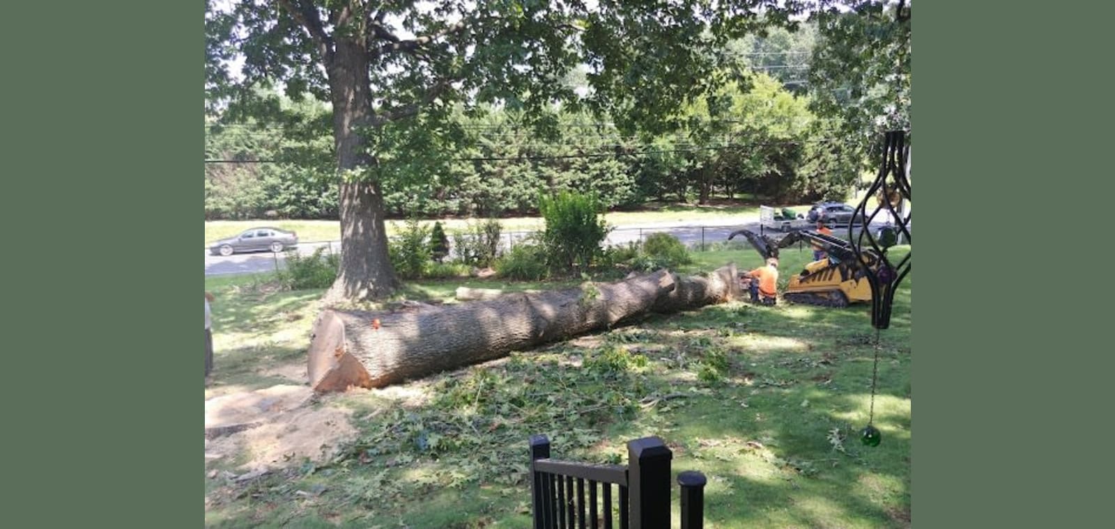 Shifflett John Tree Service — image 1
