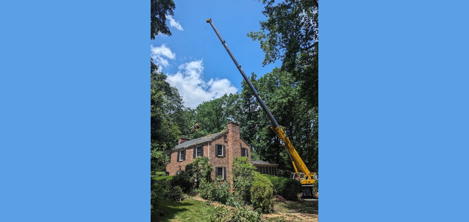 Cox's Tree Service — image 1