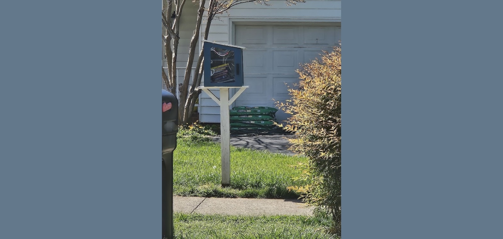 Little Free Library — image 1