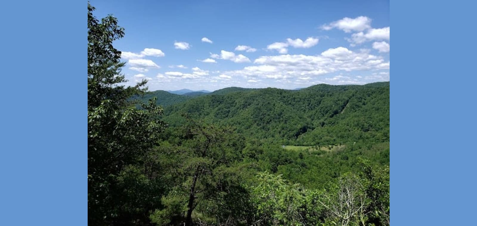Fortune's Cove Preserve — image 1