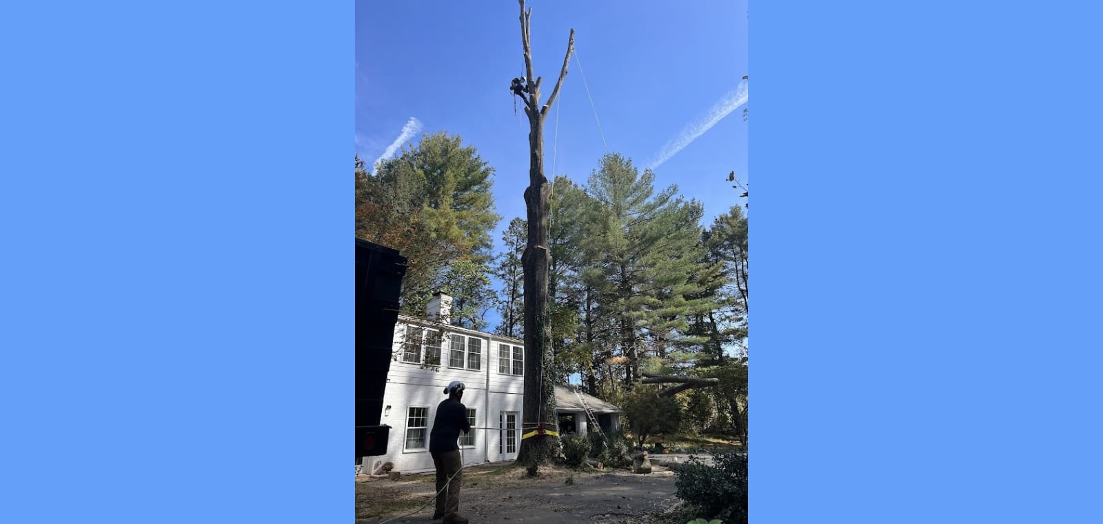 Jones Tree Service & Landscaping, LLC — image 1