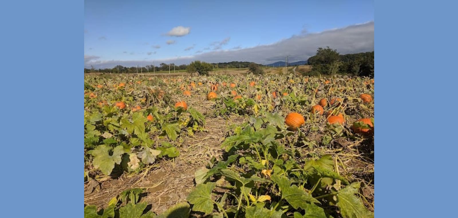 Middle River Farms — image 1