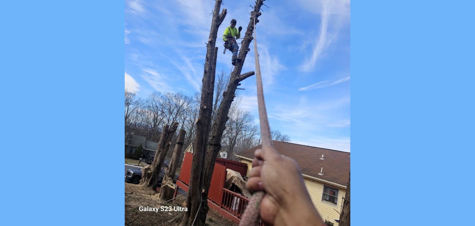 River Tree Services LLC — image 1