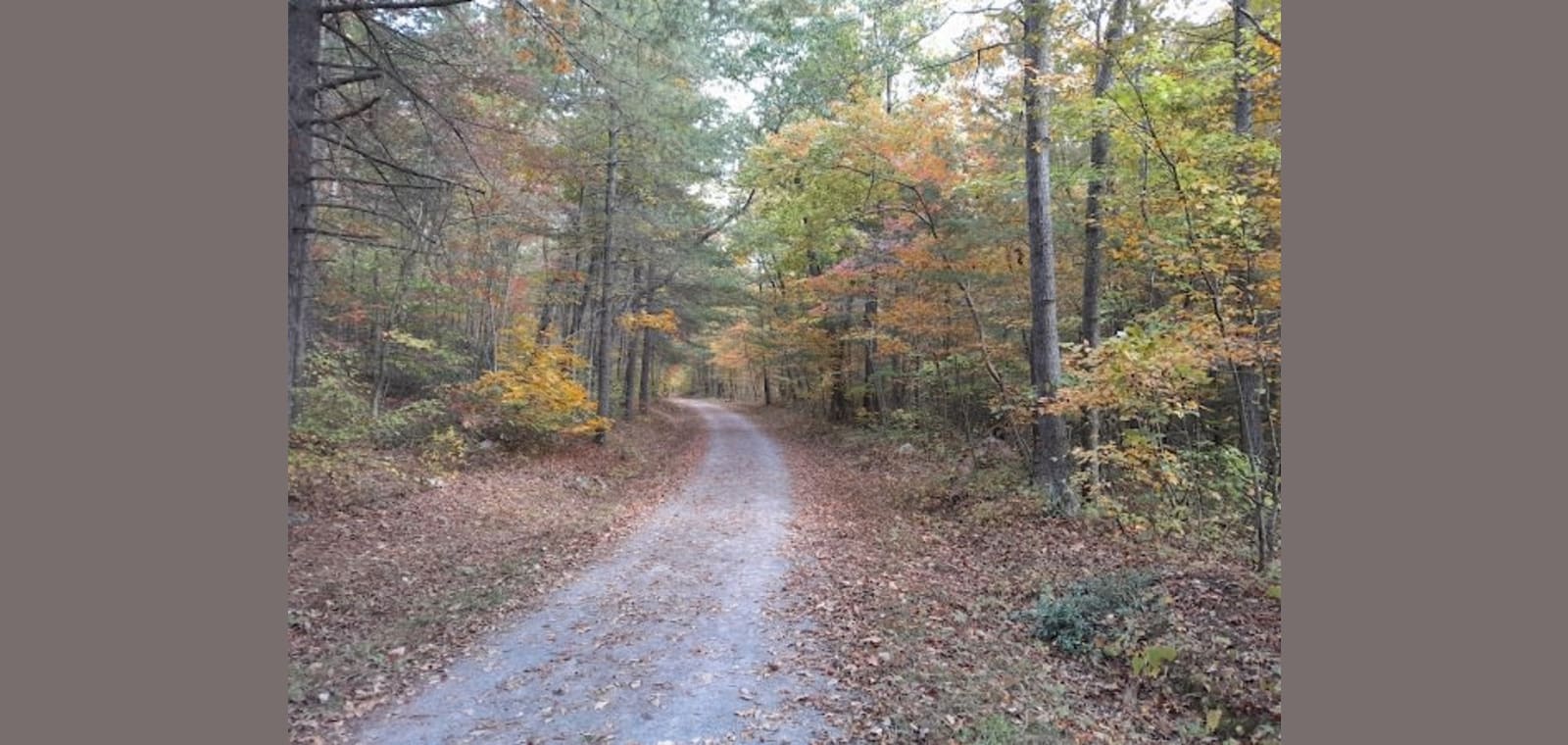 Madison Run Road Trailhead — image 1