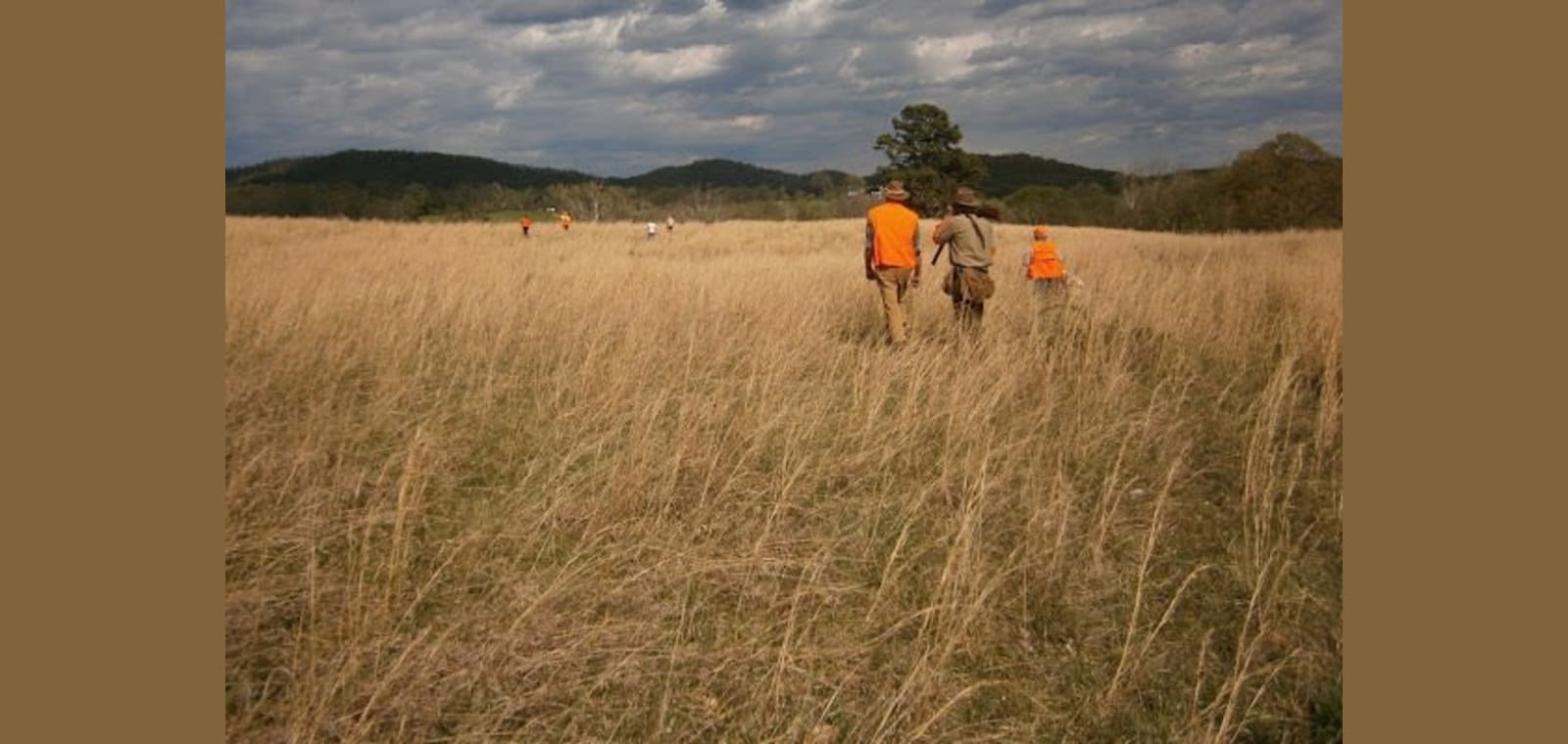PriestView Hunting Preserve — image 1