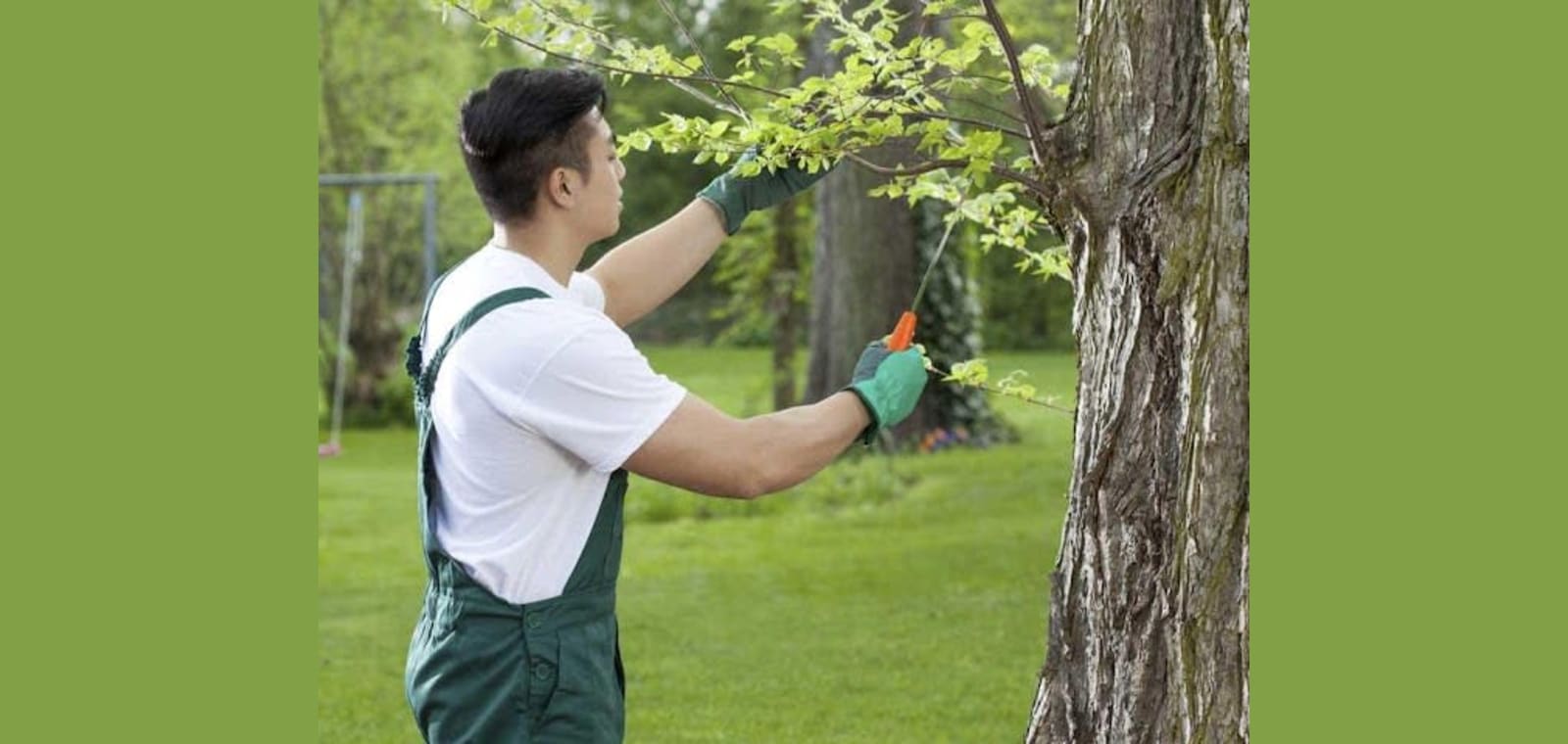 Final Touch Tree Service — image 1