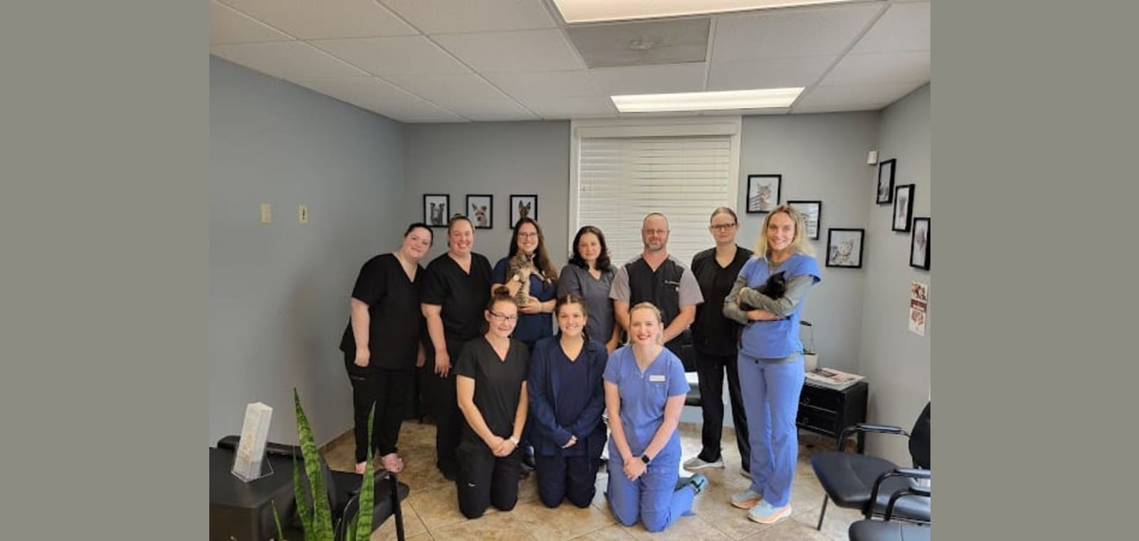 Hollymead Veterinary Hospital (formerly VETSS) — image 1