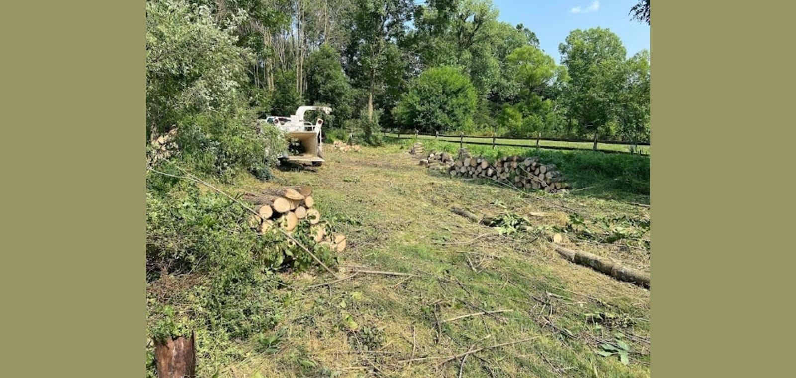 Cruz Tree Services LLC — image 1