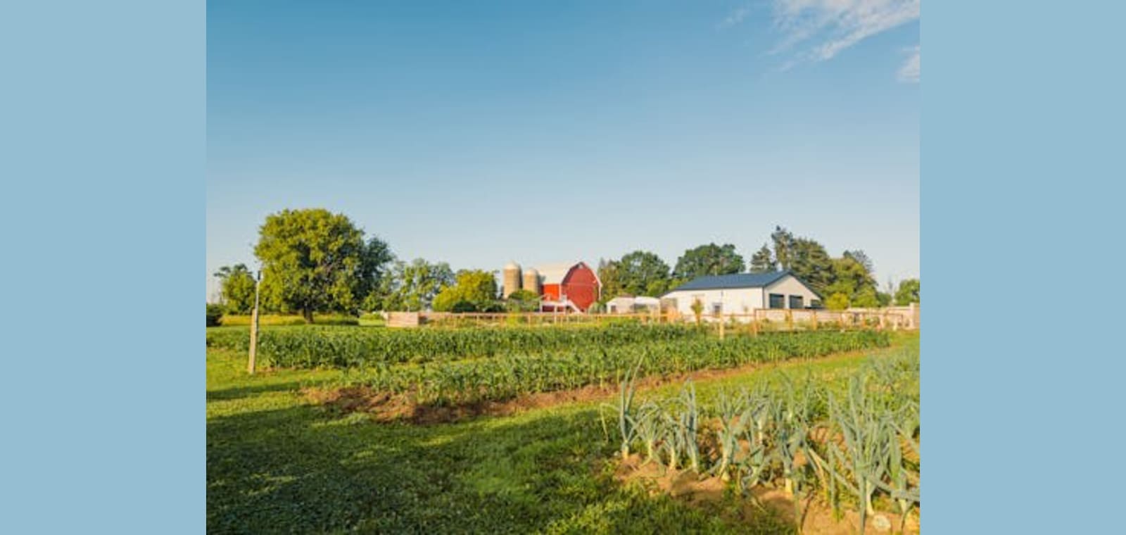 Cedar Ridge Farm — image 1