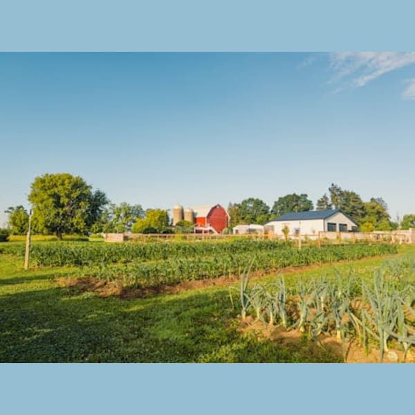Butterfly Ridge Orchard Farm