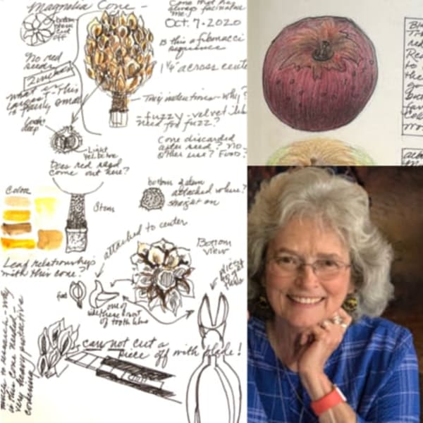 Nature Journaling with Rhonda Roebuck